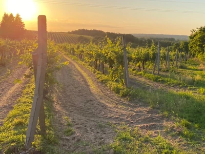 GASTVÍN spol. s r.o.