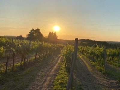 GASTVÍN spol. s r.o.